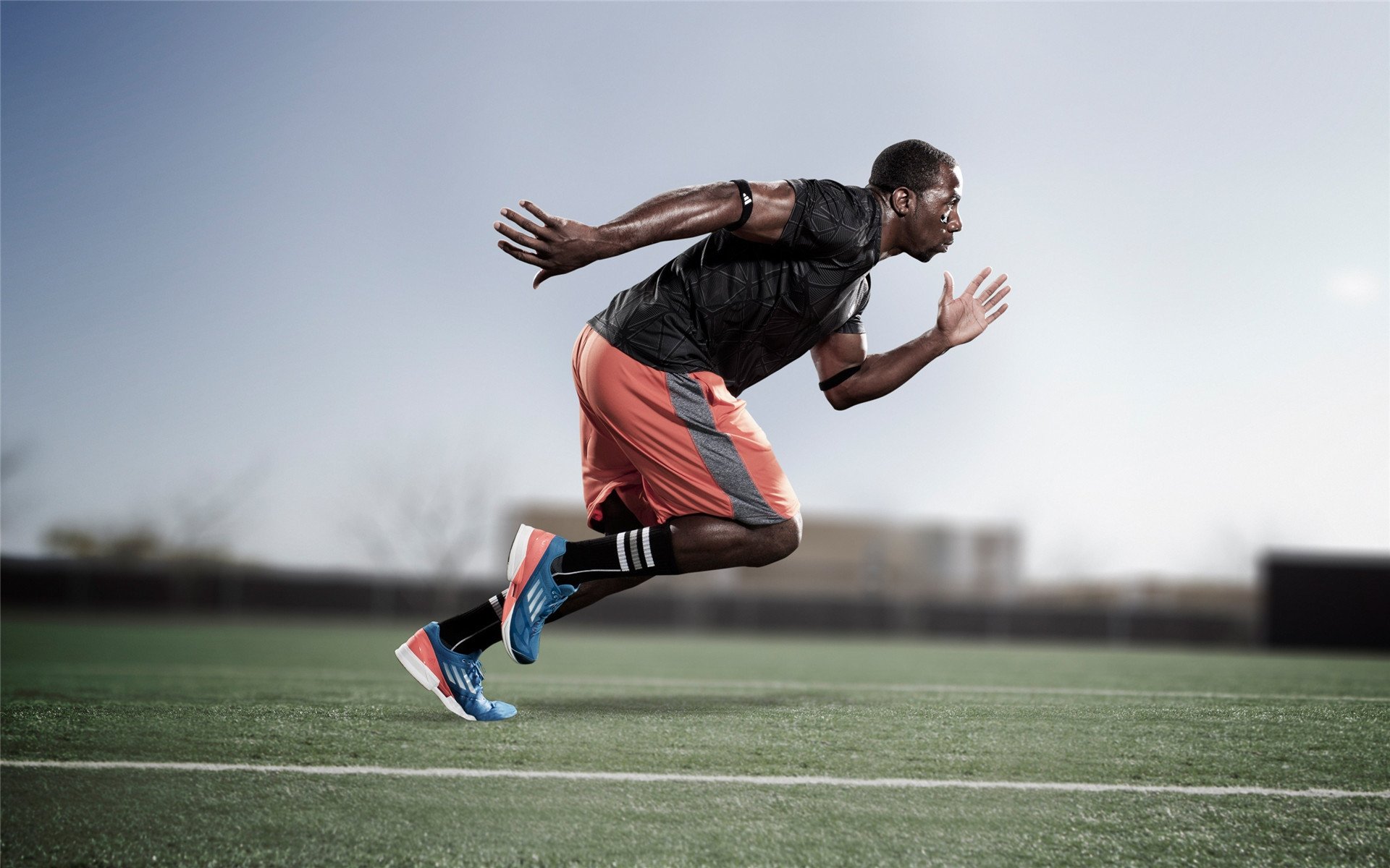 国际马拉松赛事报名最新情况，国际马拉松赛跑赛程